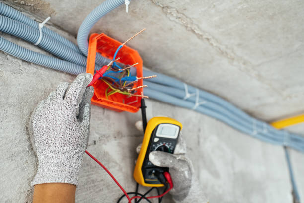 Best Local Electrician Companies  in Catahou, LA